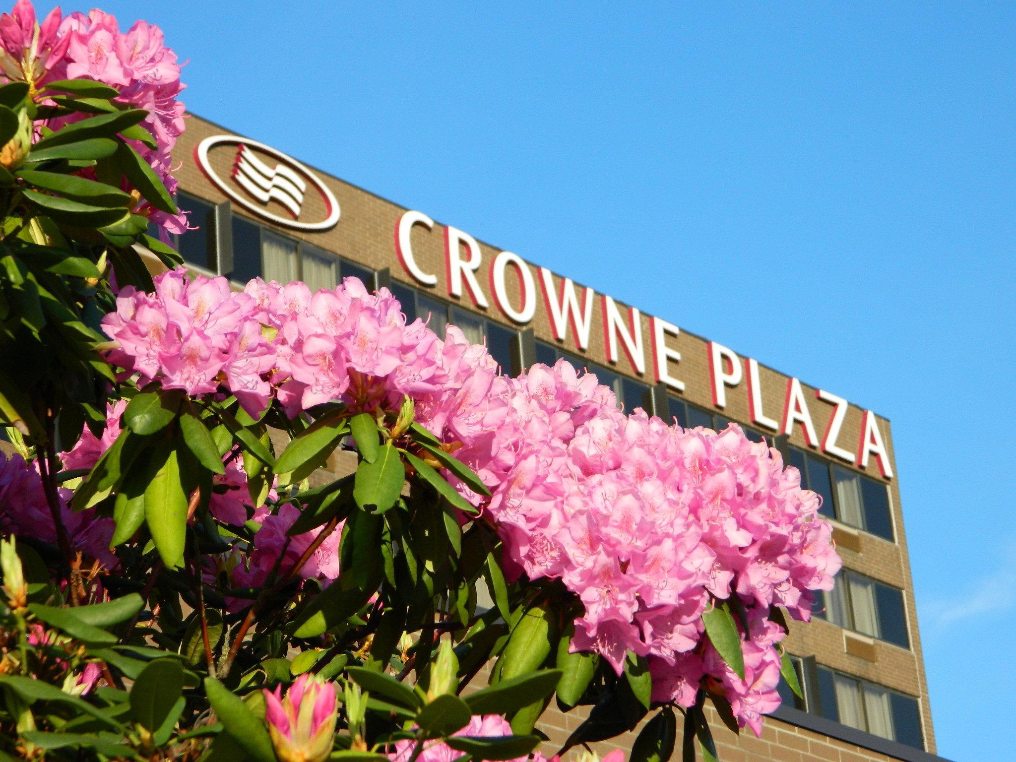 Crowne Plaza Danbury, An Ihg Hotel Екстер'єр фото